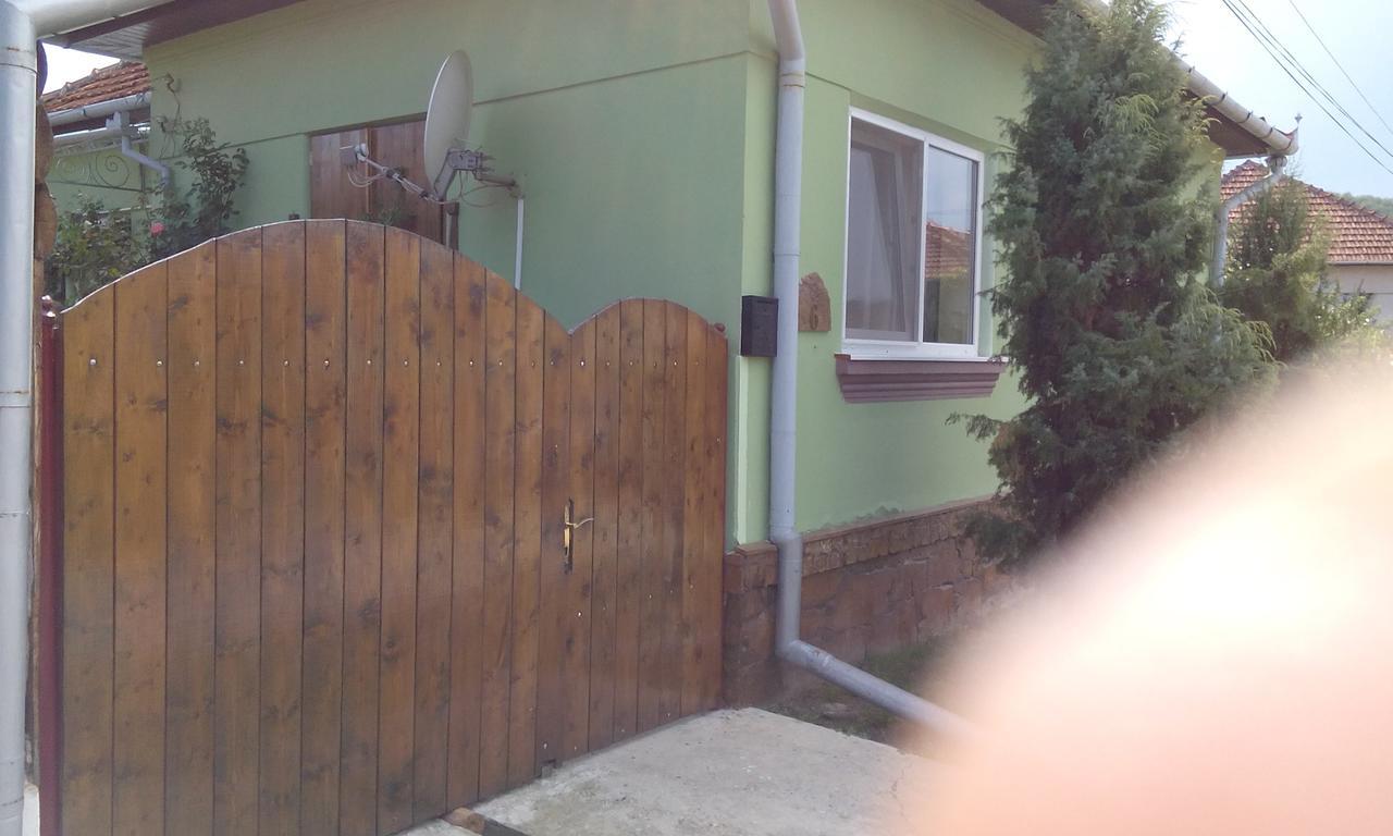 Gasthaus Casa Cosmin Dobra Exterior foto