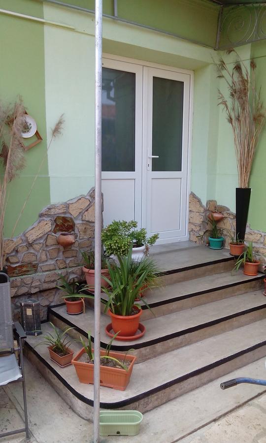 Gasthaus Casa Cosmin Dobra Exterior foto