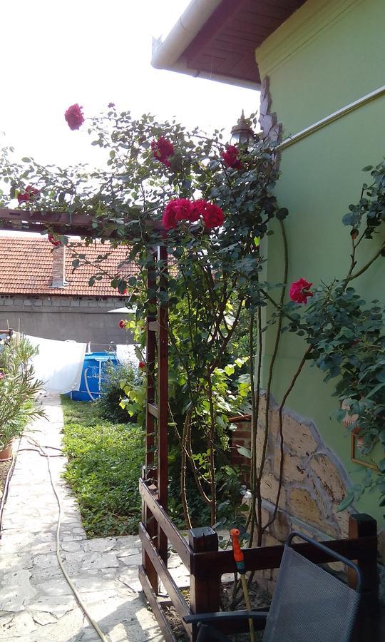 Gasthaus Casa Cosmin Dobra Exterior foto